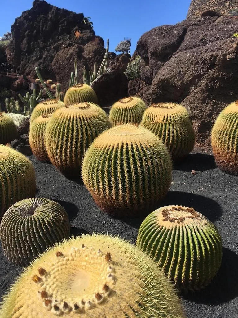 Appartamento Buenavista Puerto del Carmen  0*, Puerto del Carmen (Lanzarote)